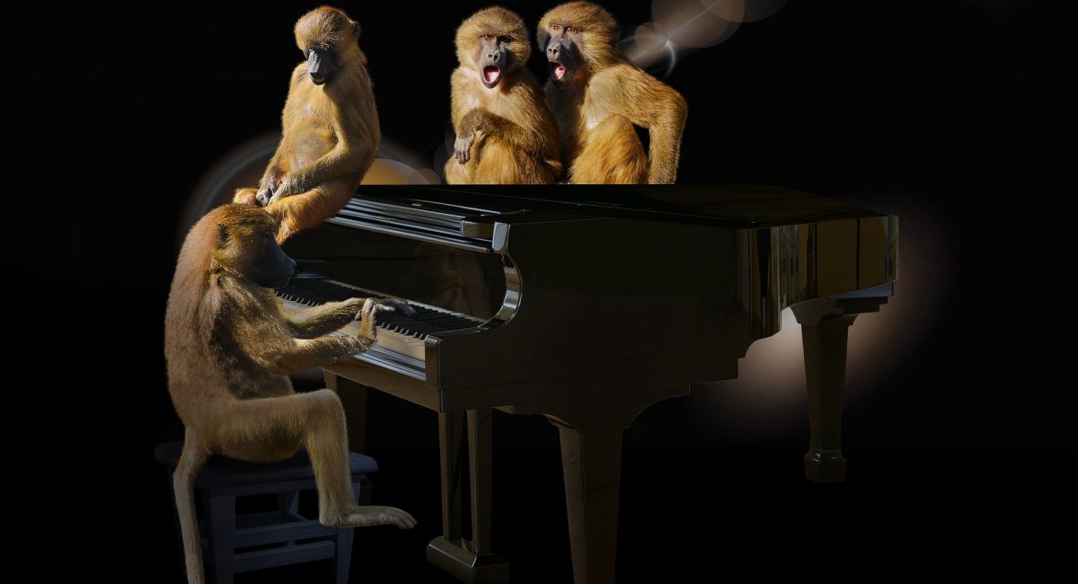 animals-3293258_1920