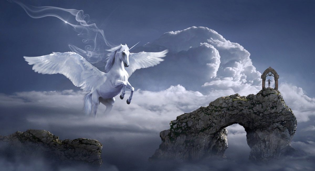 horse-3395135_1920